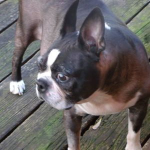 Meet your Posher, Carol